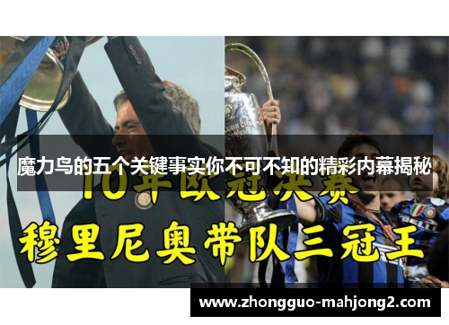 魔力鸟的五个关键事实你不可不知的精彩内幕揭秘 魔力鸟的五个关键事实你不可不知的精彩内幕揭秘