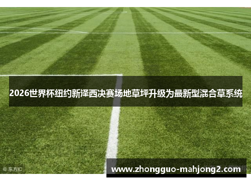 2026世界杯纽约新泽西决赛场地草坪升级为最新型混合草系统 2026世界杯纽约新泽西决赛场地草坪升级为最新型混合草系统